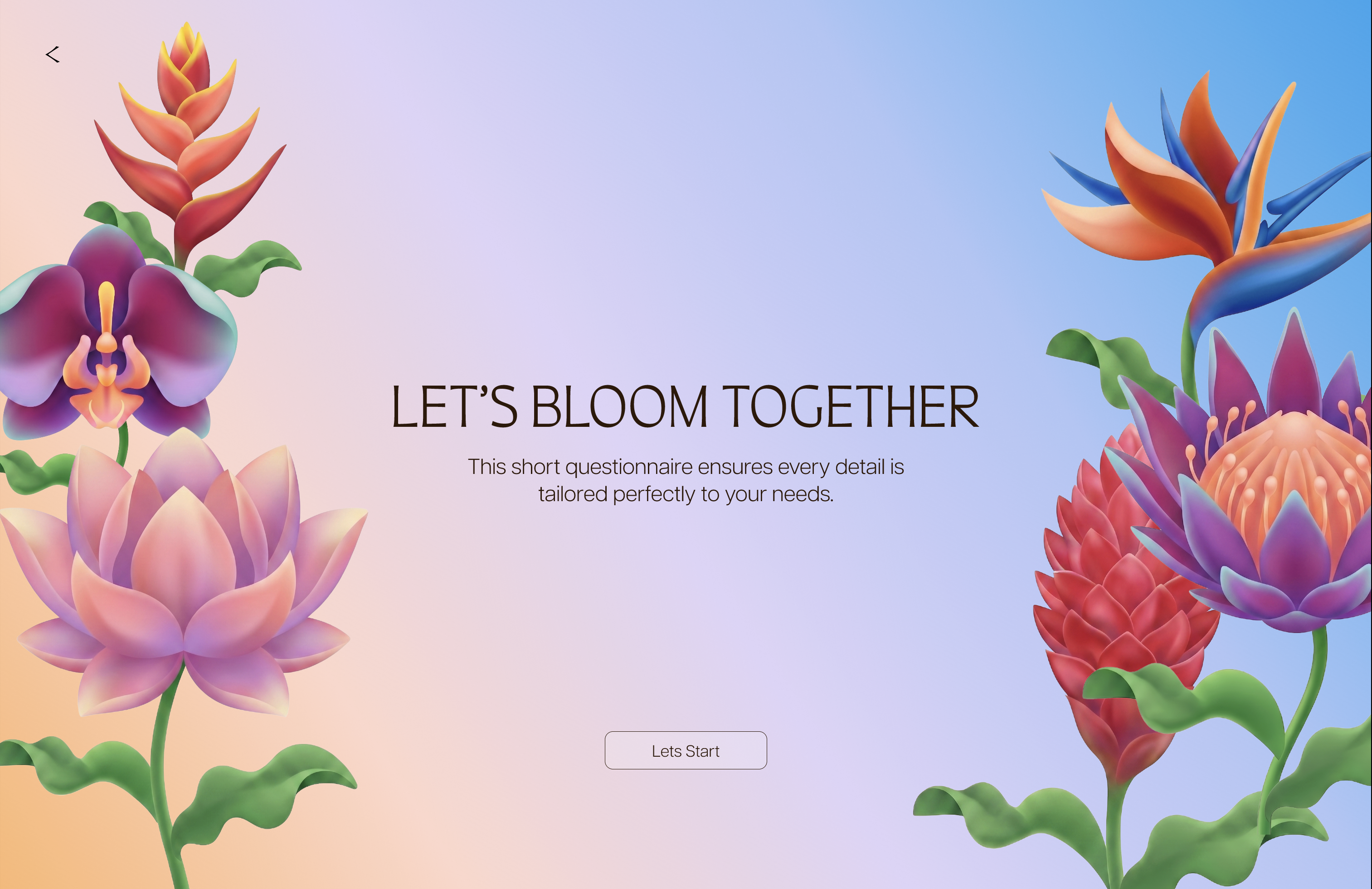 Petiole Strelitzia flower illustration screen